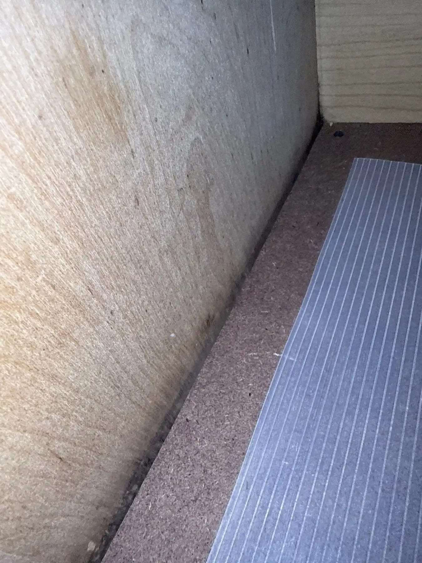 Wet carpet pad exposed where the carpet has been pulled back
